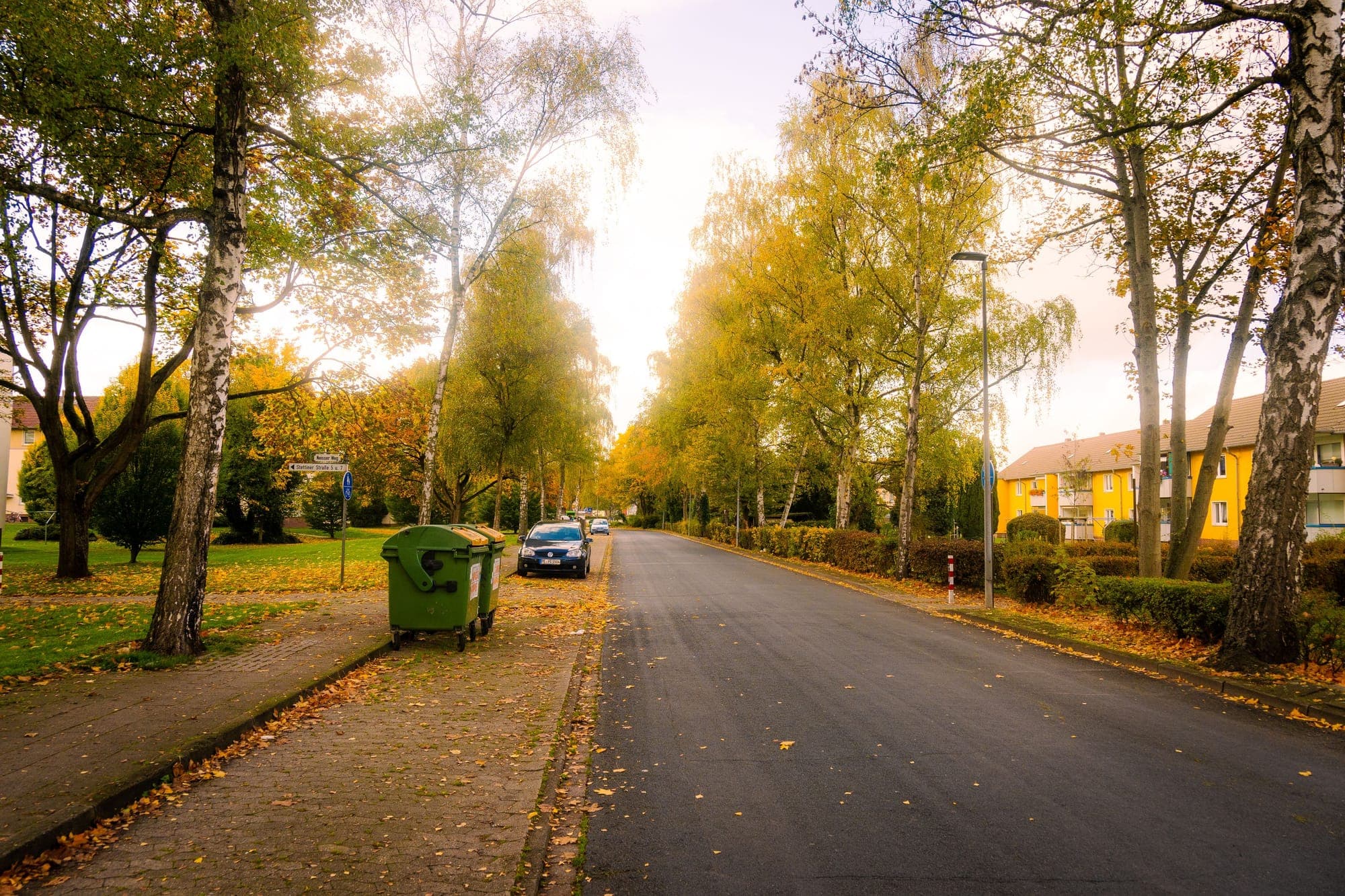 A quiet residential street under autumn trees
